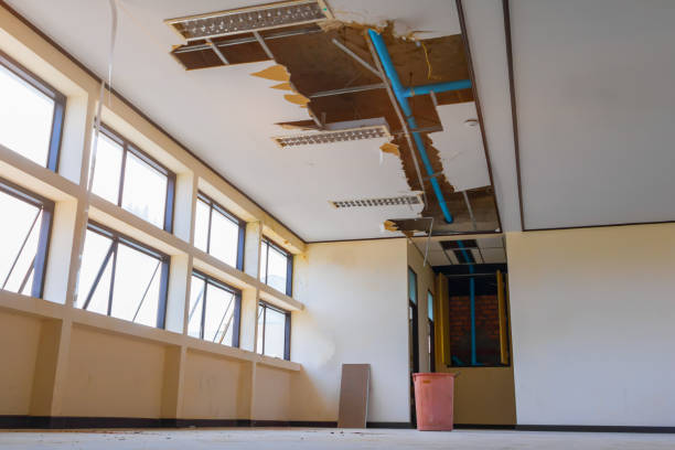 Best Ceiling water damage repair  in Hazel Park, MI